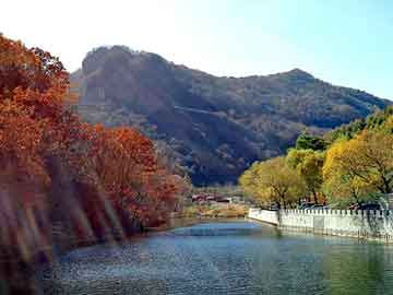 新澳门二四六天天开奖，山东硅藻土